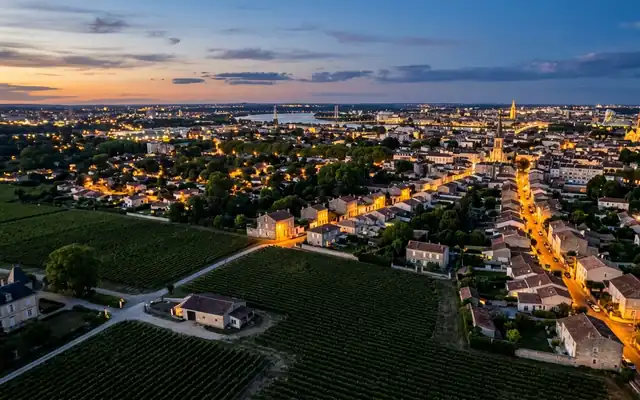 Vineyard rows meeting the suburban rooftops of Pessac near Bordeaux at dusk