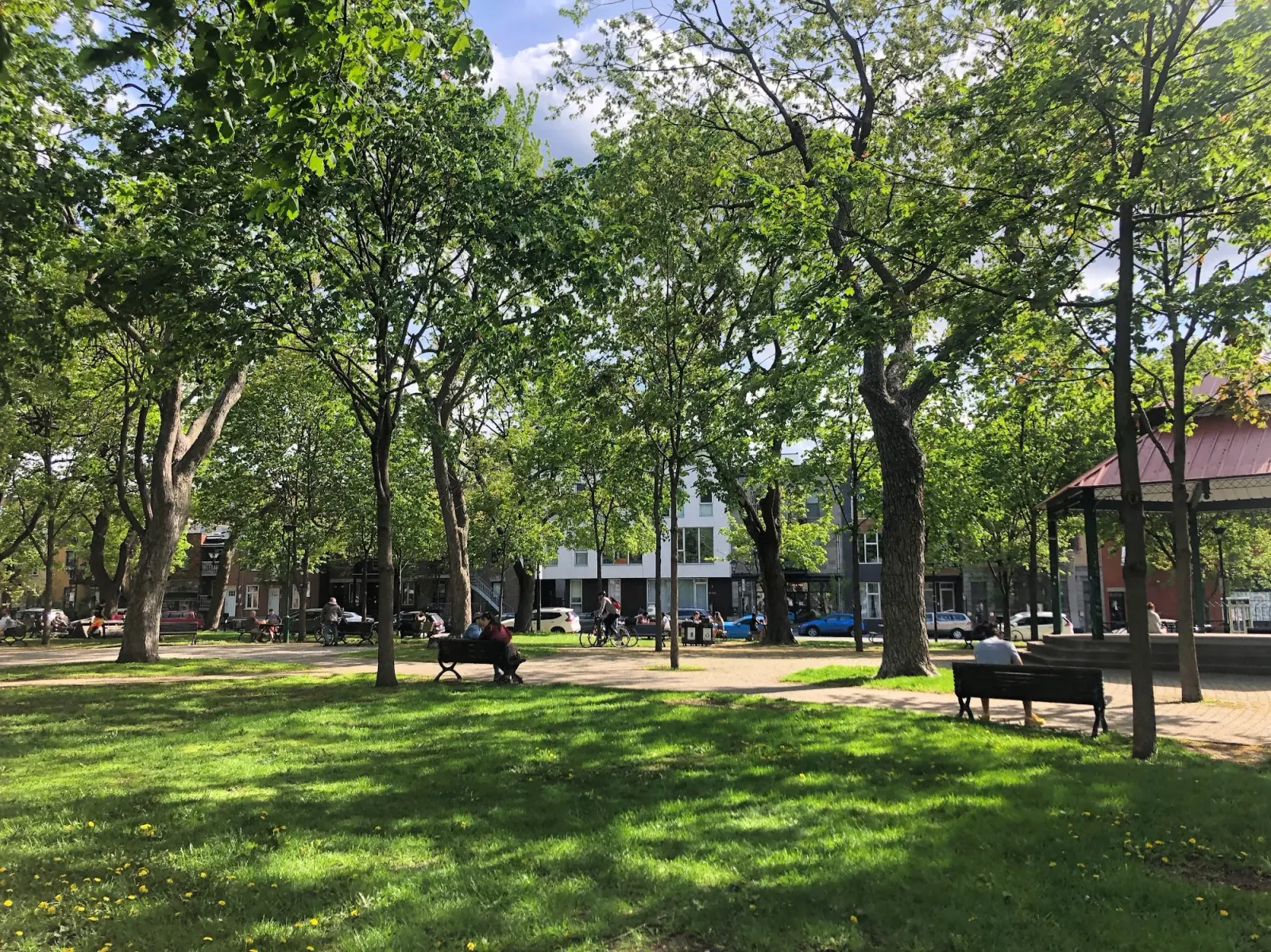 Park of Little Italy Montreal — shaded public park with benches and tree-lined paths in summer