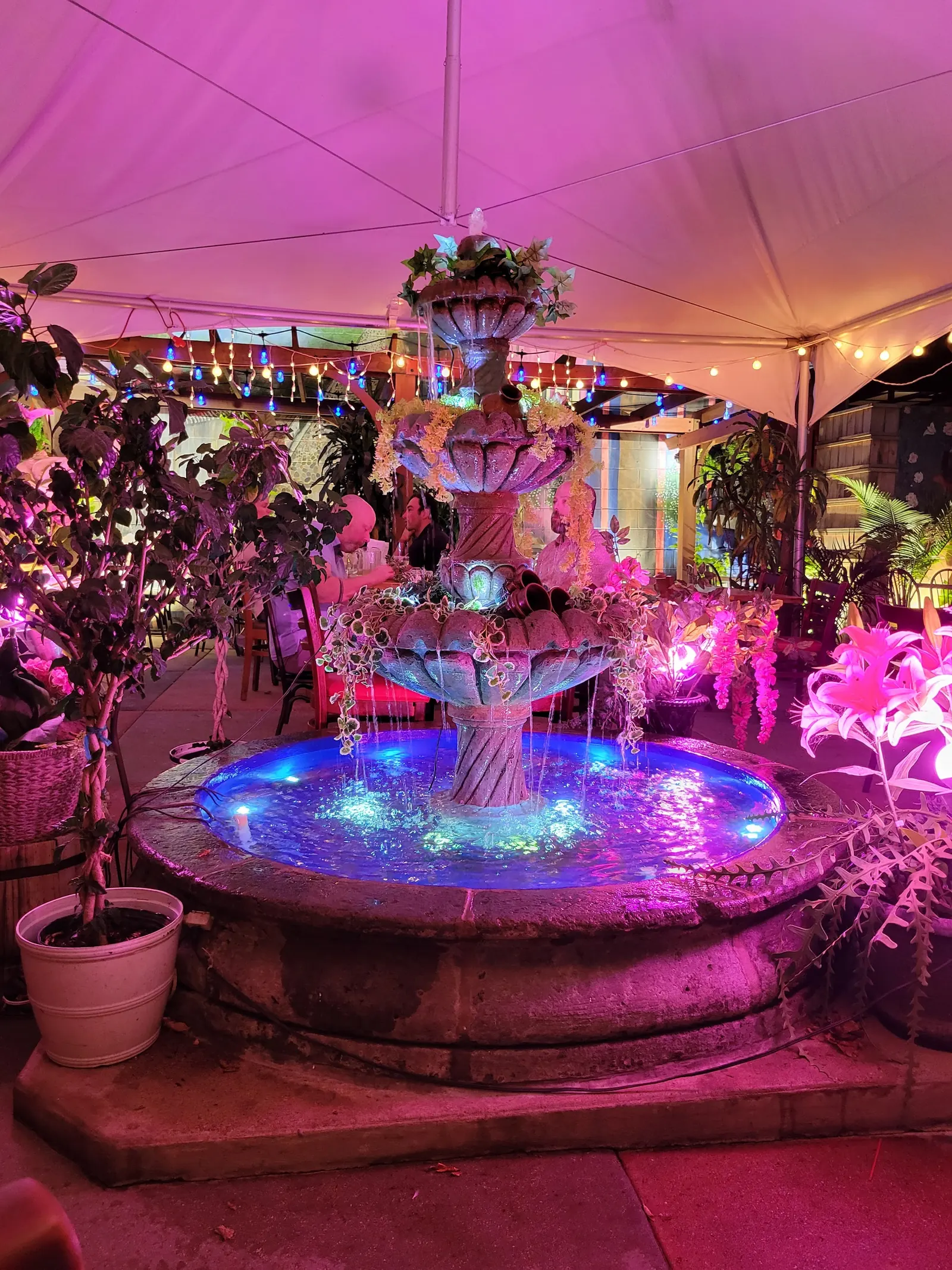 Illuminated tiered fountain under the string lit patio canopy at Las Fuentes in Chicago