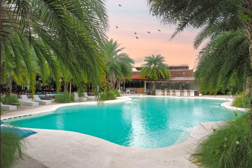 Signature pool and bar at sunset at CP Lounge Ubud, Bali