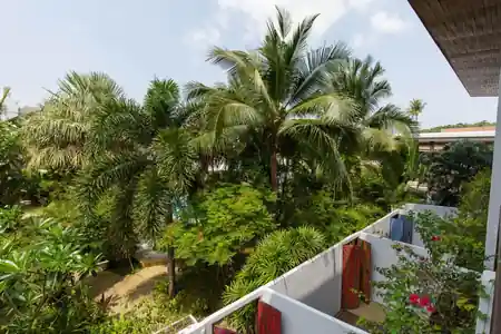 Greenlight Café & Bar, Koh Samui: Latin dance venue