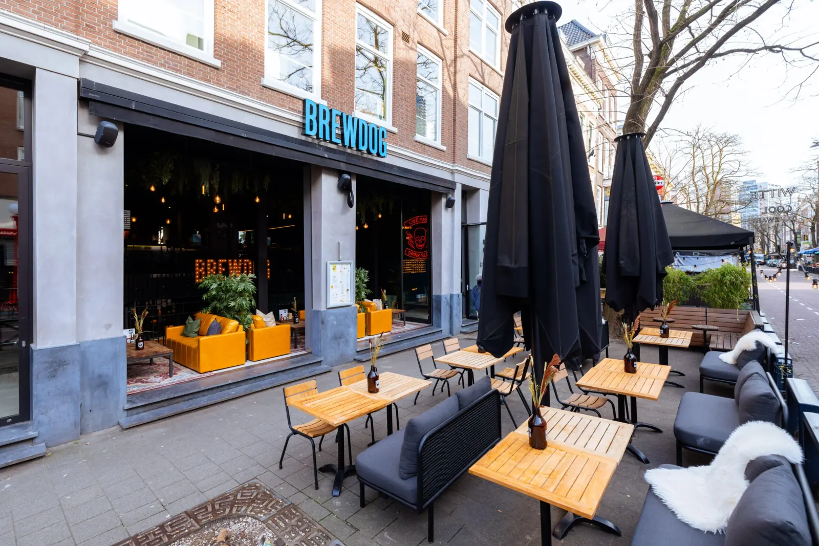 BrewDog craft beer bar exterior on Witte de Withstraat in Rotterdam