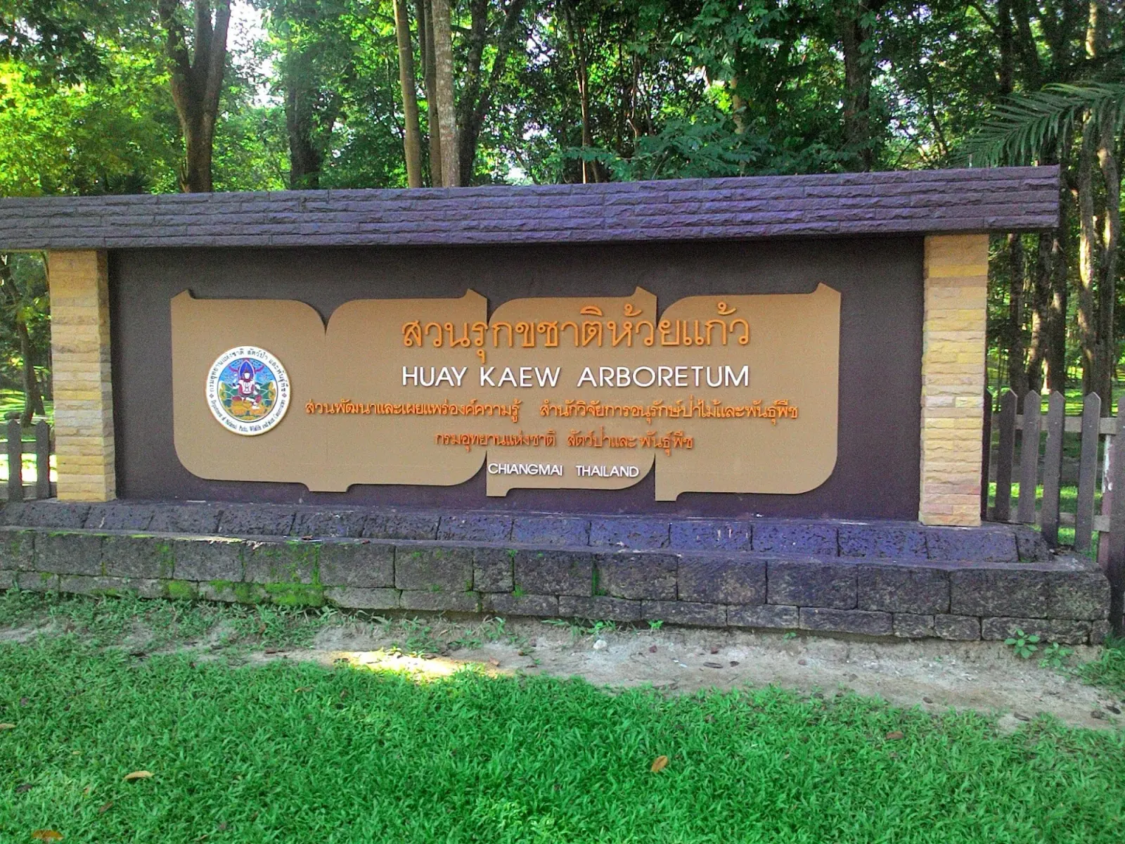 Open-air paved area ideal for dancing at Huay Kaew Arboretum Chiang Mai