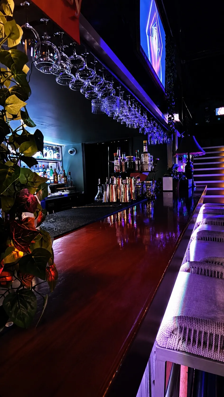 Long bar counter with hanging glasses under blue light at Distrito Federal in Houston