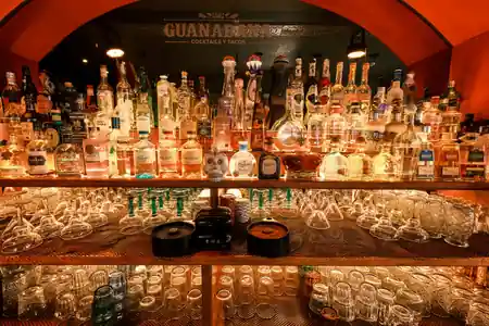 GUANABANA LAGOS - Tacos y Cocktails, Lagos: Latin dance venue