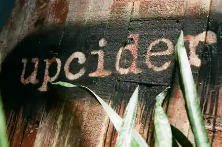 Upcider, 1160 Polk St, San Francisco: Latin dance venue