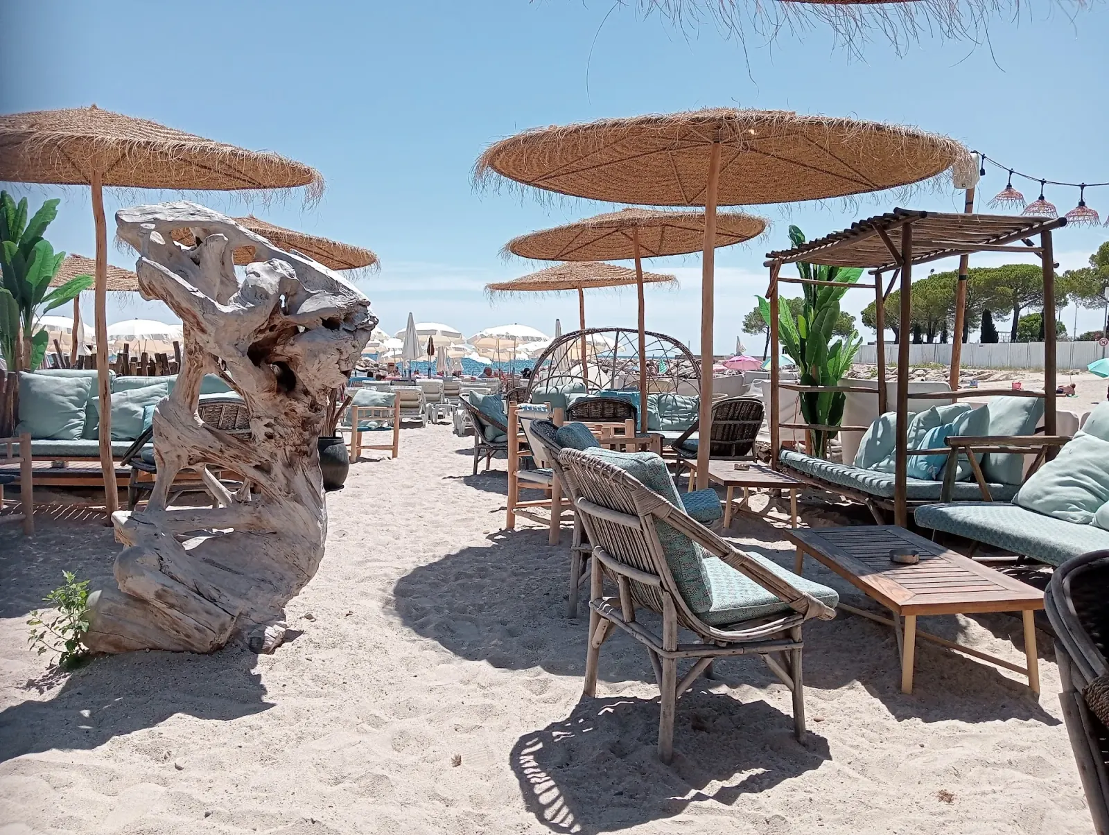 Beach club setting at Le Vieux Rocher with driftwood sculpture, thatched parasols and sand