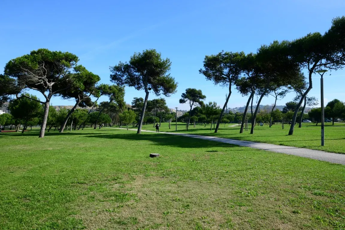 Pine-shaded lawns and pathways at Parque Urbano da Costa da Caparica in Portugal